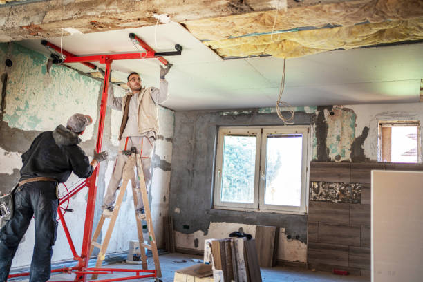 Best Specialized Insulation Services in Oro Valley, AZ