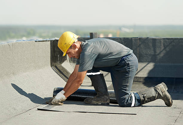 Best Eco-Friendly Insulation in Oro Valley, AZ